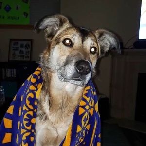 Meet your Posher, Nicholas